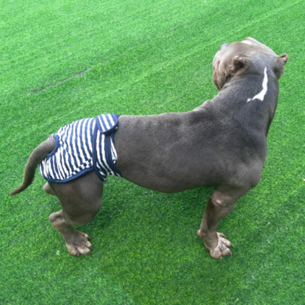 Briefs Nappy For Female Male Dog Dog Pant Physiological Underwear Pet Short Menstruation Diaper
