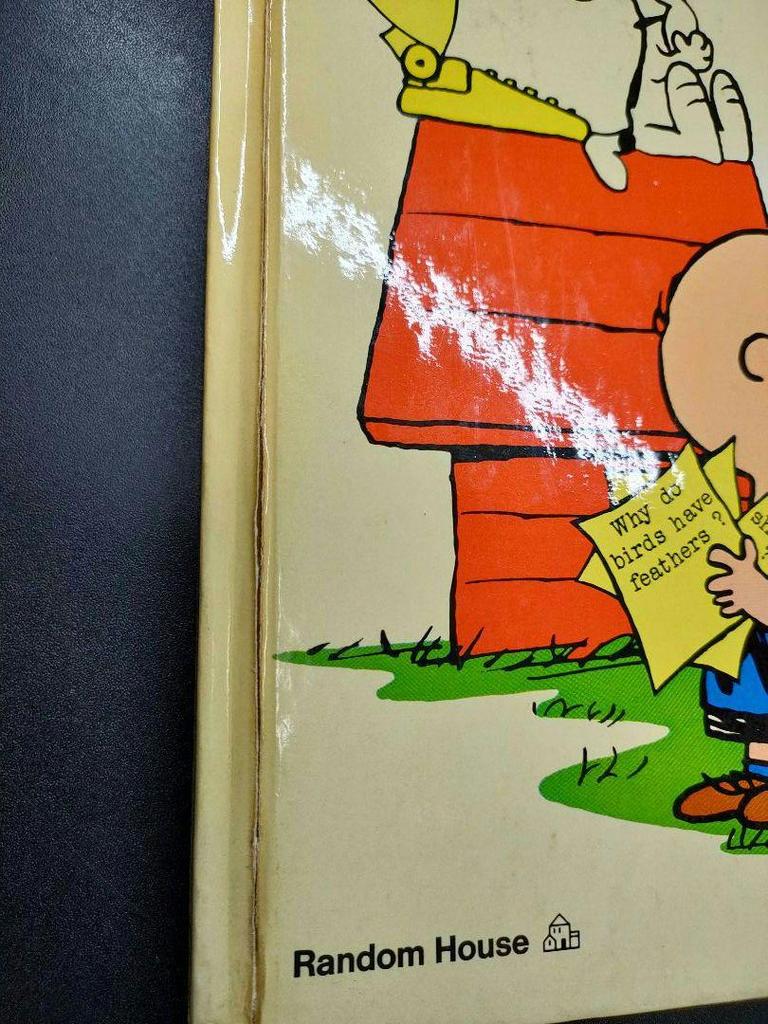 [USED] Snoopy English Books for Children English Learning Animation