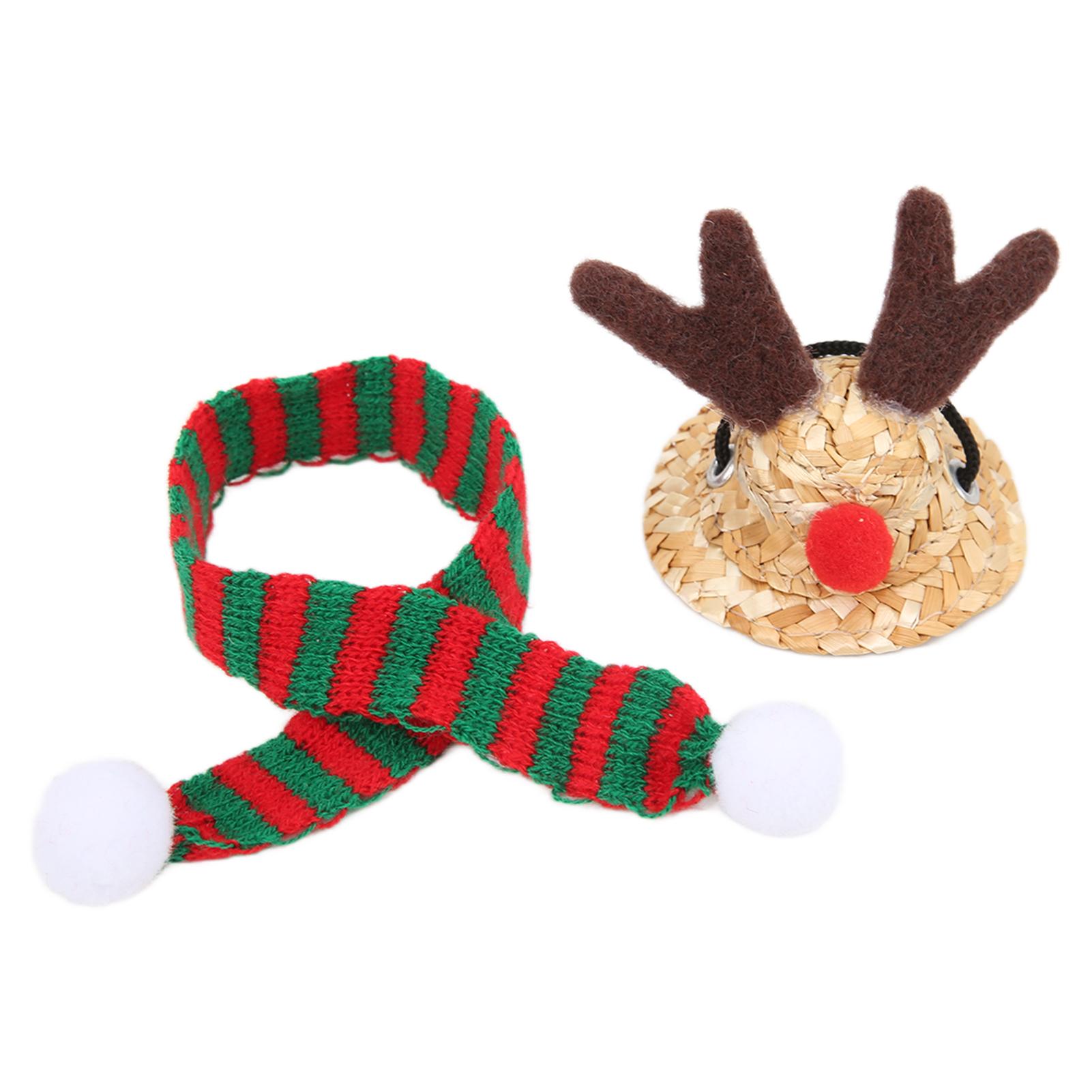 

Бородатая агама Шапка Санты Шарф Рептилия Регулируемая Соломенная Шляпа Лося и Шарф Рождественский Костюм для