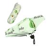 Accesorii – Umbrele
