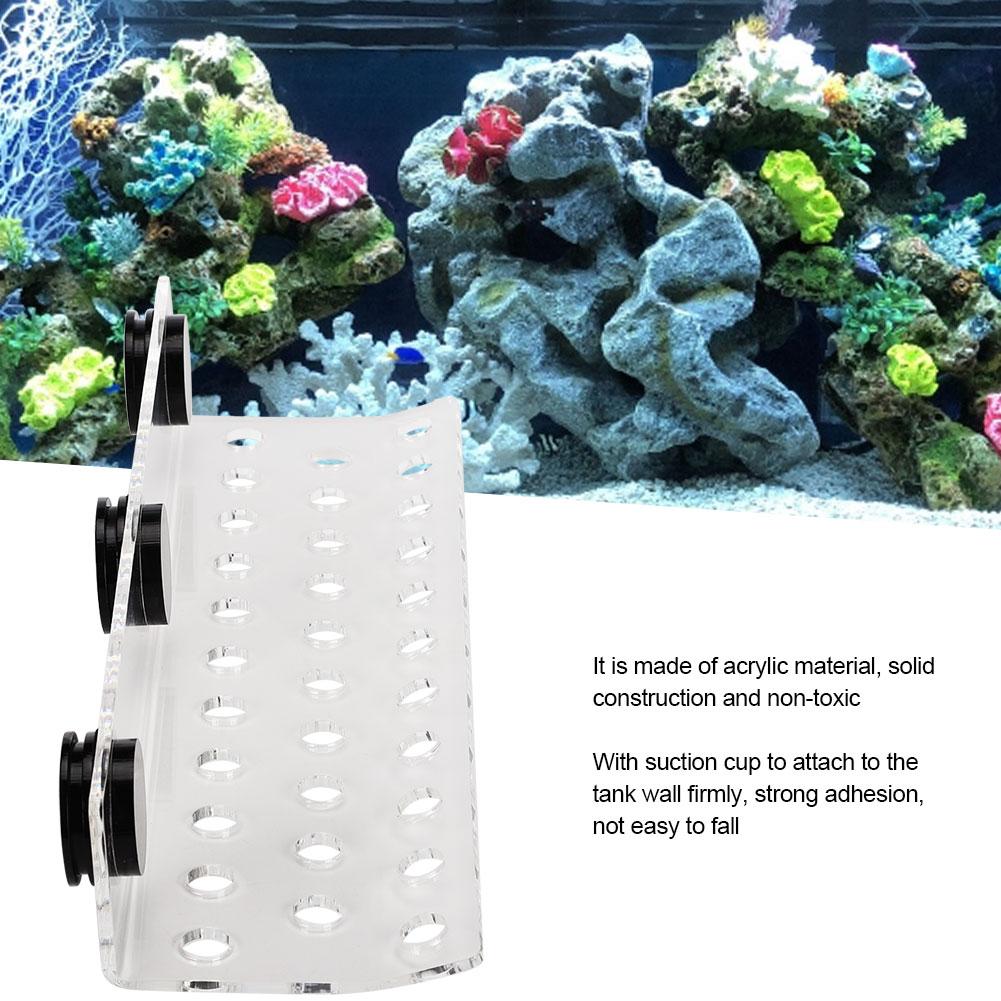 Aquarium Marine Coral Racks Bracket Holder Fish Button Frame Enhanced Suction Cup