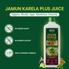 Uma Ayurveda Jamun Karela Plus Juice 1Ltr | Ayurvedic Diabetic Care /Dia Care Juice Enriched with Methi Jamun Amla Karela Amla Triphala Ashwagandha