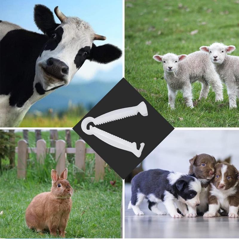 Piglet Umbilical Cord Clip & Cutter - Disposable Pig Farming Equipment