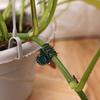Pflanzenclips Stiele Ranken Gartenstützclips Kunststoff Orchidee Tomate Pfingstrose Stielhalter Pflanzenstab Befestigungselemente