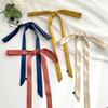 Luxury Skinny Narrow Short Woman's Silk Scarf Hairband Hair Strip Silk Ribbon Small Bag Handle Ribbon Scarves Kerchief Lady Tie