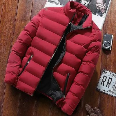 Men's Fall Early Winter Coats Padded Jacket For Men Coat Warm Clothing Men's Parka Casual Slim Jackets