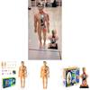 Educational Anatomy Toy For Exploring Human Body