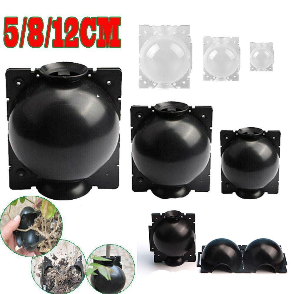 Propagation Ball Botany Root Controller Breeding Case Growing Box High Pressure Incubator Plastic Grafted Tree Rooting Ball