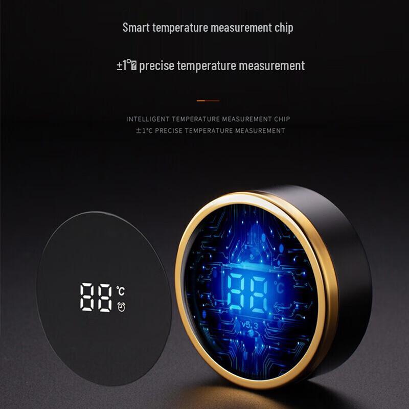 Vanow Smart Tea Infuser Thermos with LED Display