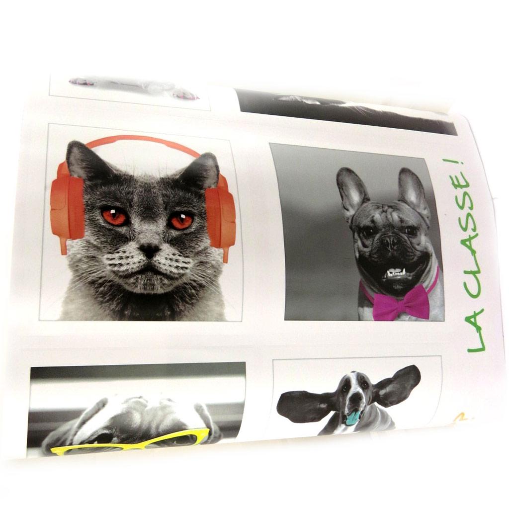 Les Trésors De Lily [L4992] - Aufkleberbogen „Eine Liebe zu Tieren“ Katzen Hunde (50x70 cm)