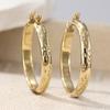 Gold earrings, large round style, electroplated round texture design, eye-catching earrings.