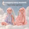 Miniso An An Rabbit Plush/soft and Cute Long-eared Doll/toy Pillow/little Rabbit Plush Doll/fresh Floral Dress with Smile Design