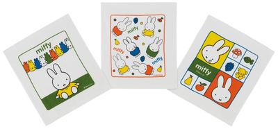Oshibori Towels Miffy Dick Bruna (3-Pack) OAC1T-A