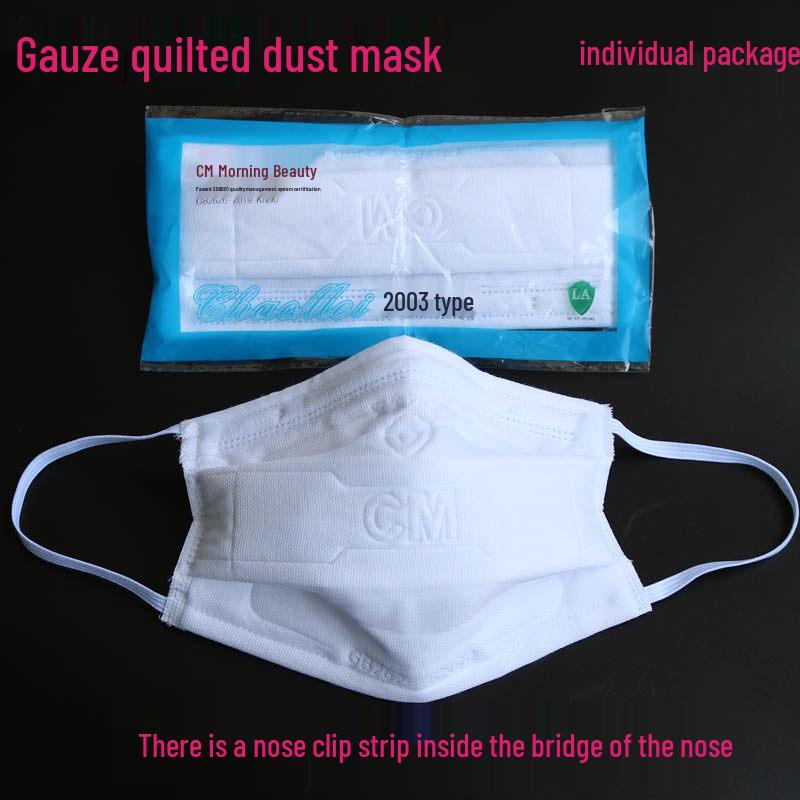 Chaomei 2003 Thickened Industrial Dust Mask