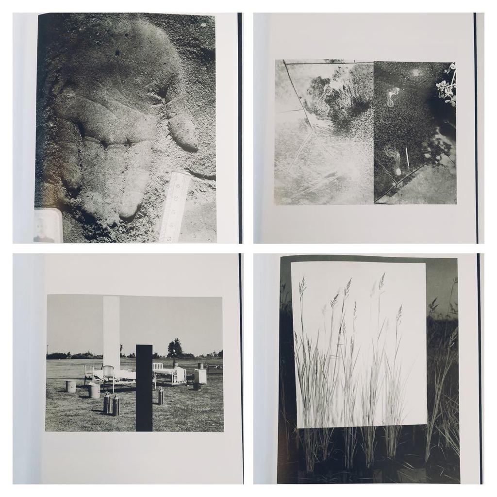 [USED] EVIDENCE by James White Photo Collection