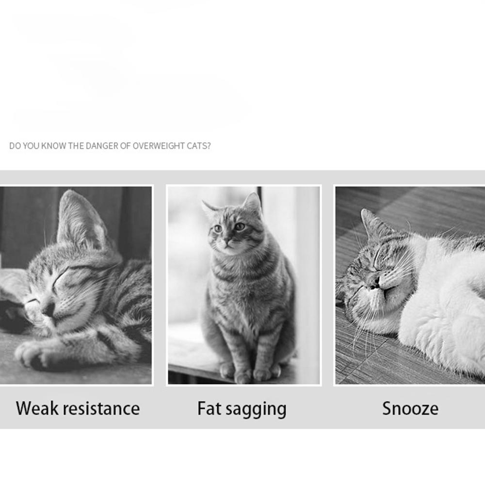 Random Color Interactive With Bells Plastic PET Pet Supplies Training Tools Throw Ball Cat Toys