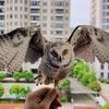 Bird Scare Owl Decors with Mirror Like Strips and Bells for Garage and Roof Defense