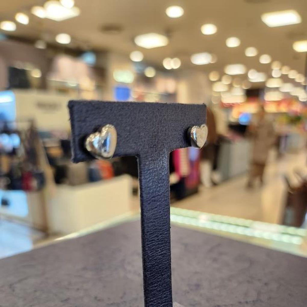 ARTRIA Surgical Steel Heart Forever Love Earrings EWSEBSC0001WHF