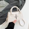Simple 2025 Spring New Models, Popular Foreign Style This Year, Casual Commuting, Portable Shoulder Crossbody Small Square Bag Woman