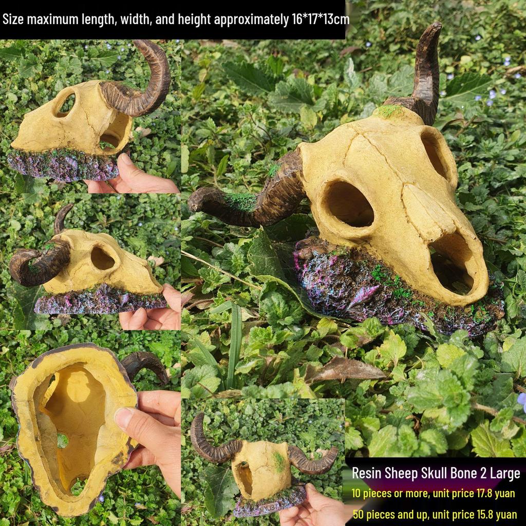 Akril Hüllőtenyésztő Doboz Dekoratív Koponyával