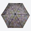 WPC Transparent 3 Fold Umbrella Pt Mt 002