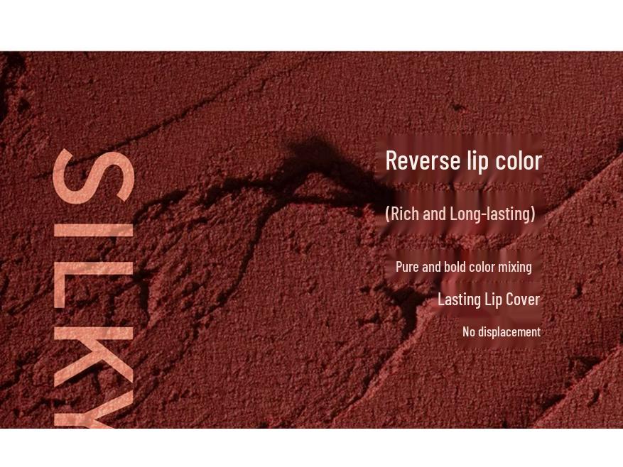 HYNTOOR Black Rabbit Matte Mist Macaron Lipstick – Student-Friendly Lip Gloss