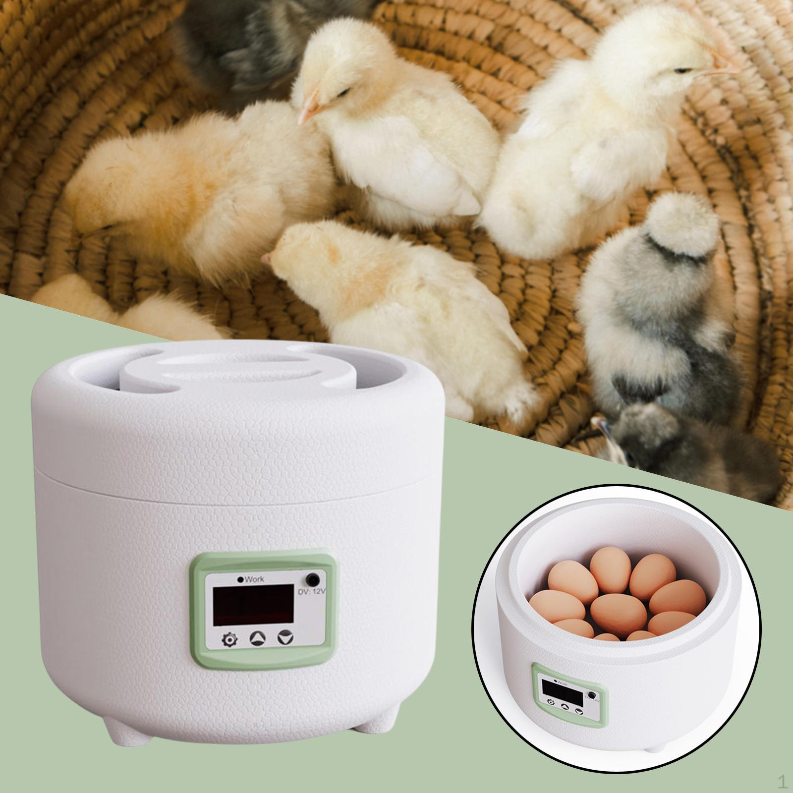 Portable Digital Automatic Egg Incubator Dual Power Temperature Control Mini Poultry Hatcher for