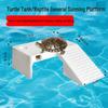 Reptiles – Terrarios de reptiles