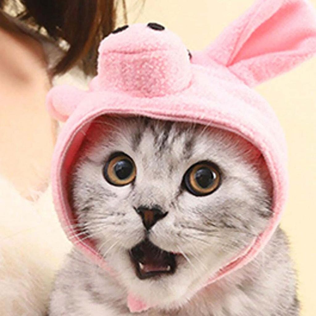 1pc-Adjustable Plush Pet Hat for Small Dogs and Cats Comfortable Warm Headwear Pet Clothing Accessory