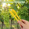2Pcs Handheld Grape Thinner Comb Ergonomic Grip Bud Thinning Pruning Clip  Vineyard Management