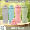 Portable Collapsible Silicone Water Bottle 600ml Hiking Camping Cycling Travel Outdoor Use
