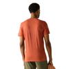 Regatta Mens Breezed Mountain Flow T-Shirt