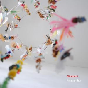 

CD OHANAMI - Agapanthus WNDU011 Wonderyou 2013 Japan Dance & Electronica Used