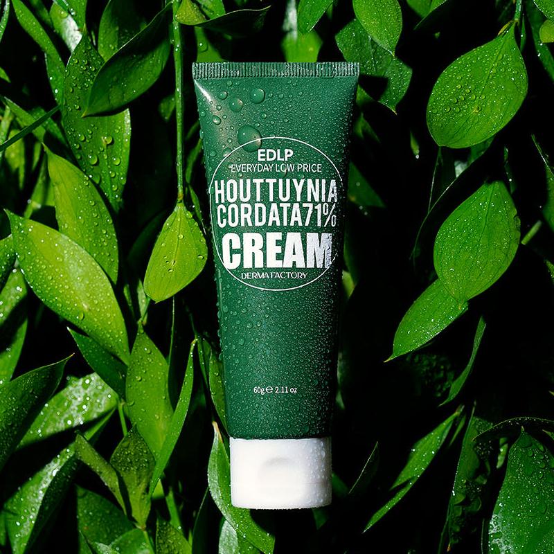 DERMA FACTORY EDLP Houttuynia Cordata 71% Cream 60ml