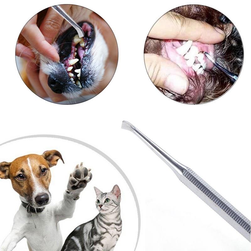 Pet Animals Dental Remover Scraper Tooth Tartar Calculus Scaler Tools ...
