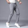 Light Business Thin Striped Plaid Pants Men's Summer Ice Silk Pants Korean Youth Versatile Slim Fit Urban Casual Men's Pants