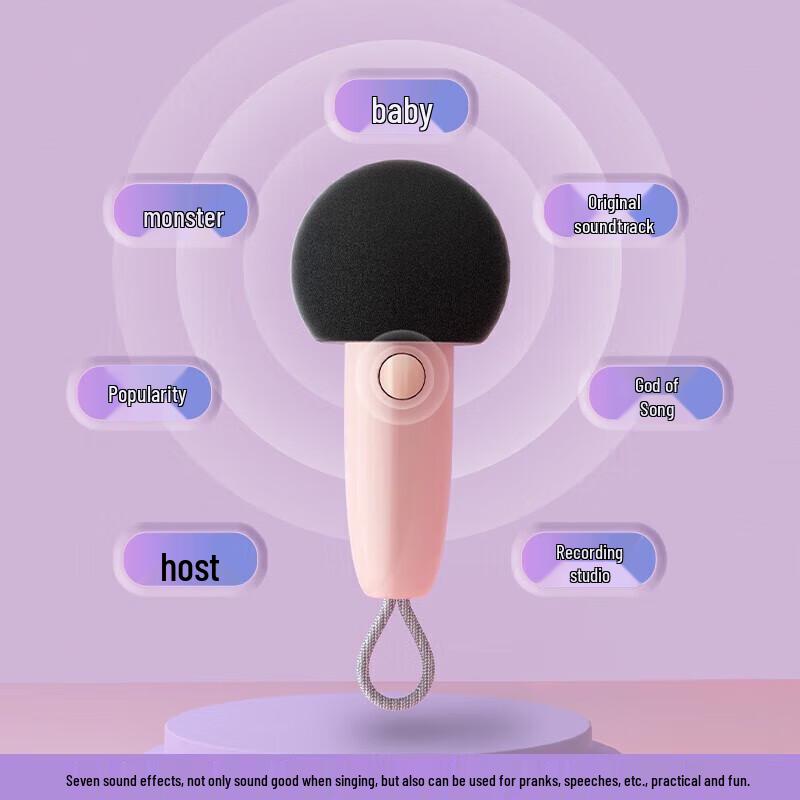 DianYin Portable Bluetooth Karaoke Speaker