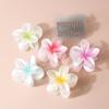 Pearl Flower Gradient Hair Clip - European & American Fashion Shark Clip
