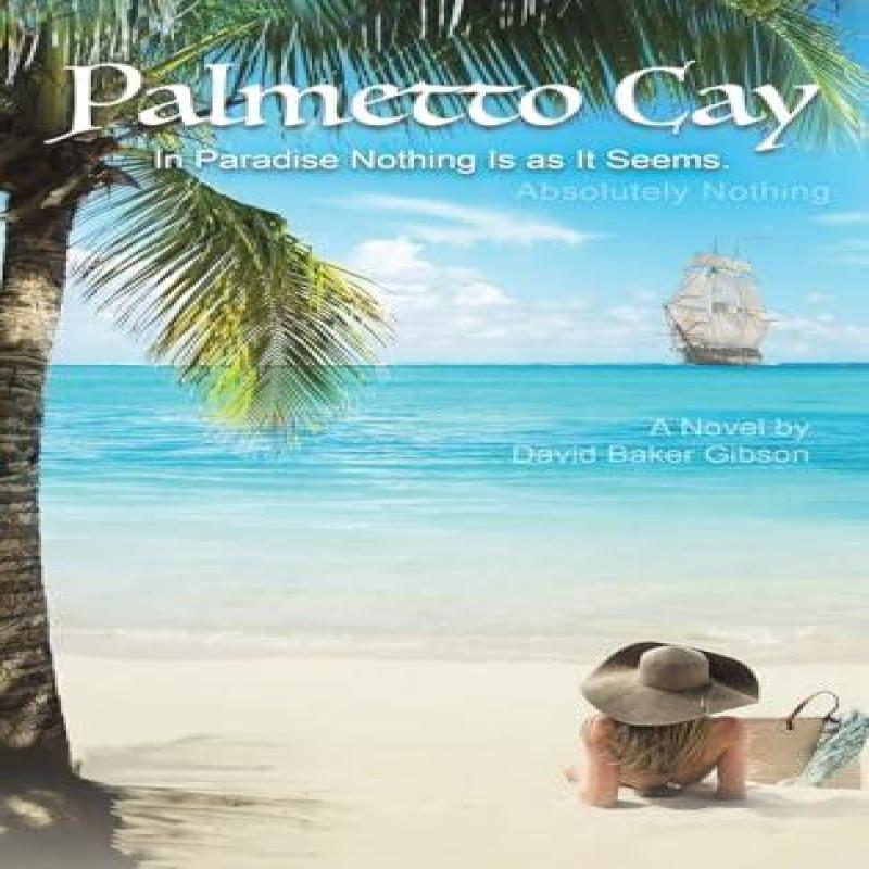 Palmetto Cay by David Baker Gibson Hardback Book 9781035881109
