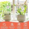 Plant Watering Bulb Animal Flower Design Self Watering Globes Planter Insert Automatic Watering Device for Indoor Plants When Vacation