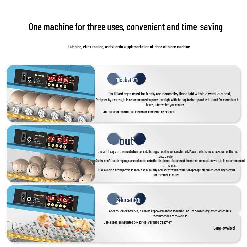 Smart Mini Household Incubator: Fully Automatic Quail & Chicken Egg Incubator with Constant Temperature Control