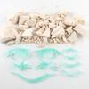 Source Assembly Gypsum Archaeological Skeleton Dinosaur Technology Toy 3D Dinosaur Fossil Skeleton Model