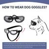 Clear Vision Dog Eyewear Fashion Cat Glasses Free Size Dogs Goggles  Puppy