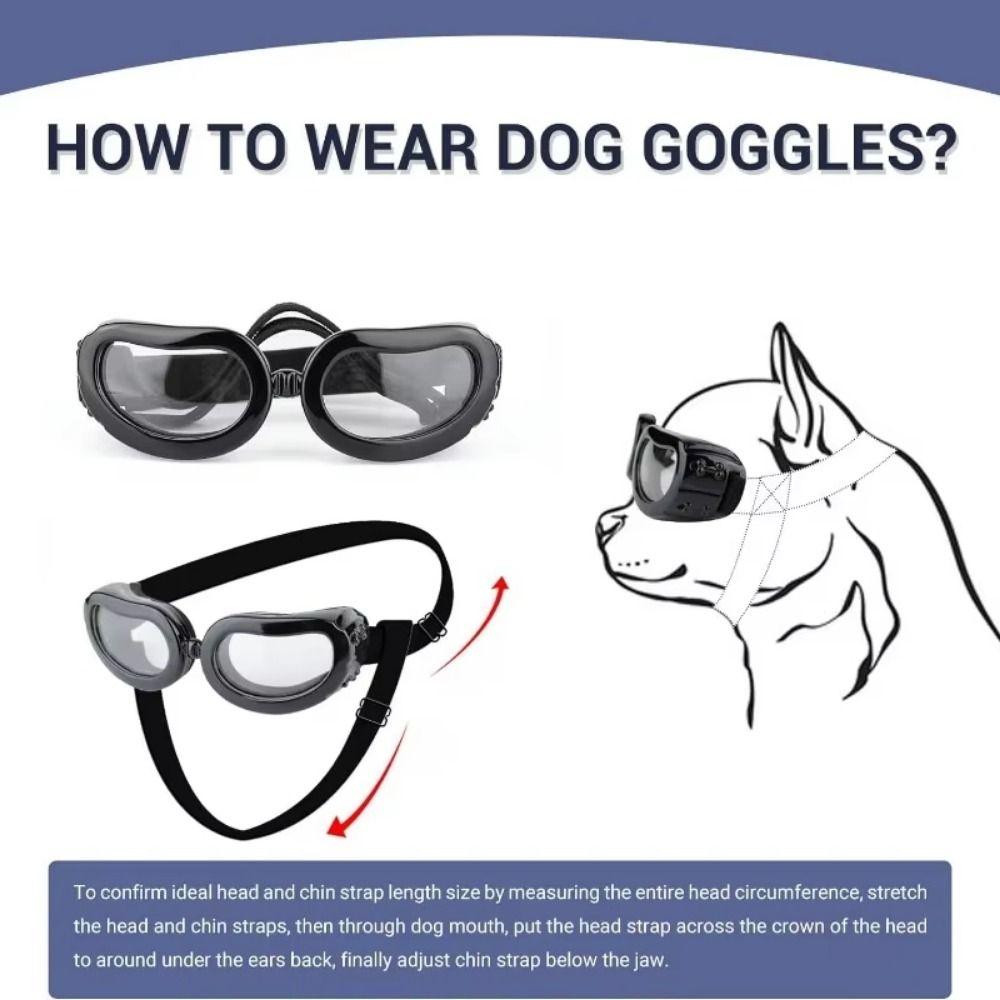 Clear Vision Dog Eyewear Fashion Cat Glasses Free Size Dogs Goggles  Puppy