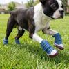 4pcs/set Breathable Dog Canvas Sneakers Adjustable Dog Casual Shoes Non-Slip Pet Shoes  Outdoor