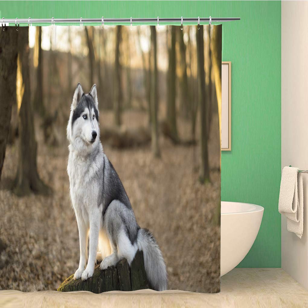Süßer Sibirischer Husky Duschvorhang Weihnachtlicher Duschvorhang Set Husky Hund Welpe Badezimmervorhang Haustier Hunde Weihnachten Heimdekoration