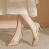 Women's Nude Pointed Toe Heels - 2026 Spring Autumn Low Stiletto, Comfortable Non-Tiring, French Hosting, Skirt-Match Single Shoes XCY42-Y5-8