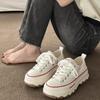 New shoes women's spring platform canvas shoes sports and leisure little white shoes versatile niche cloth shoes
