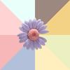 1pcs DIY Flowers Shoe Buckle Girls And Children's DIY Shoes Accessories Trend Creative Shoelaces Decorative Shoes Accessories