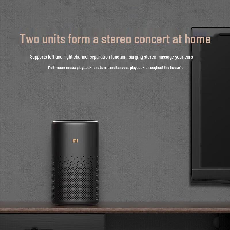 Xiaomi Xiaoai Speaker Pro (CN Version)